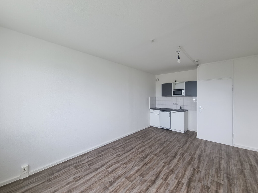 Zerbster Straße 43, 06124 Halle (Saale)