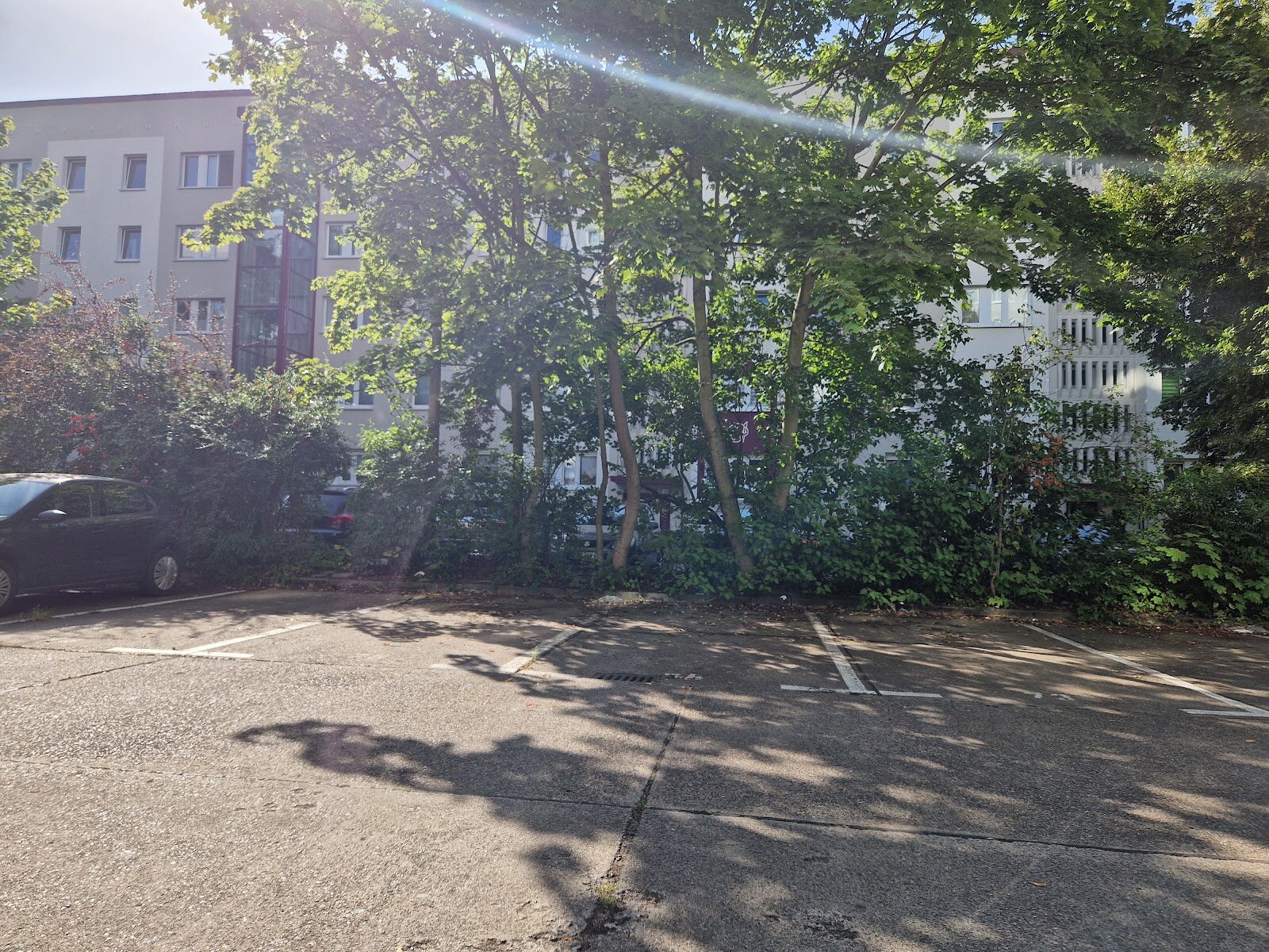 Richard-Paulick-Straße 11, 06124 Halle (Saale)