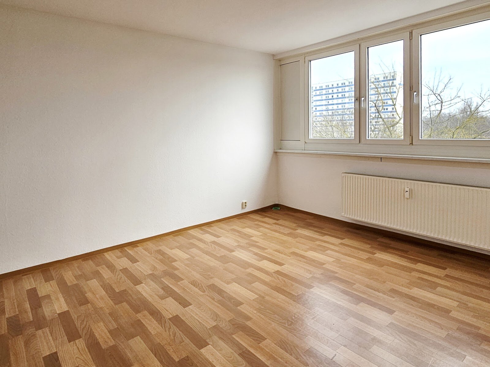 Bodestraße 7, 06122 Halle (Saale)