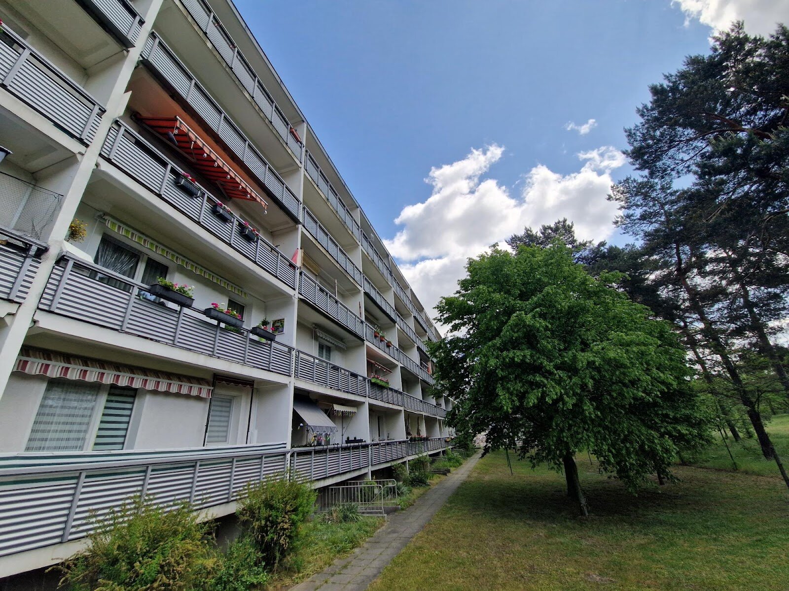 Anne-Frank-Straße 39, 03050 Cottbus