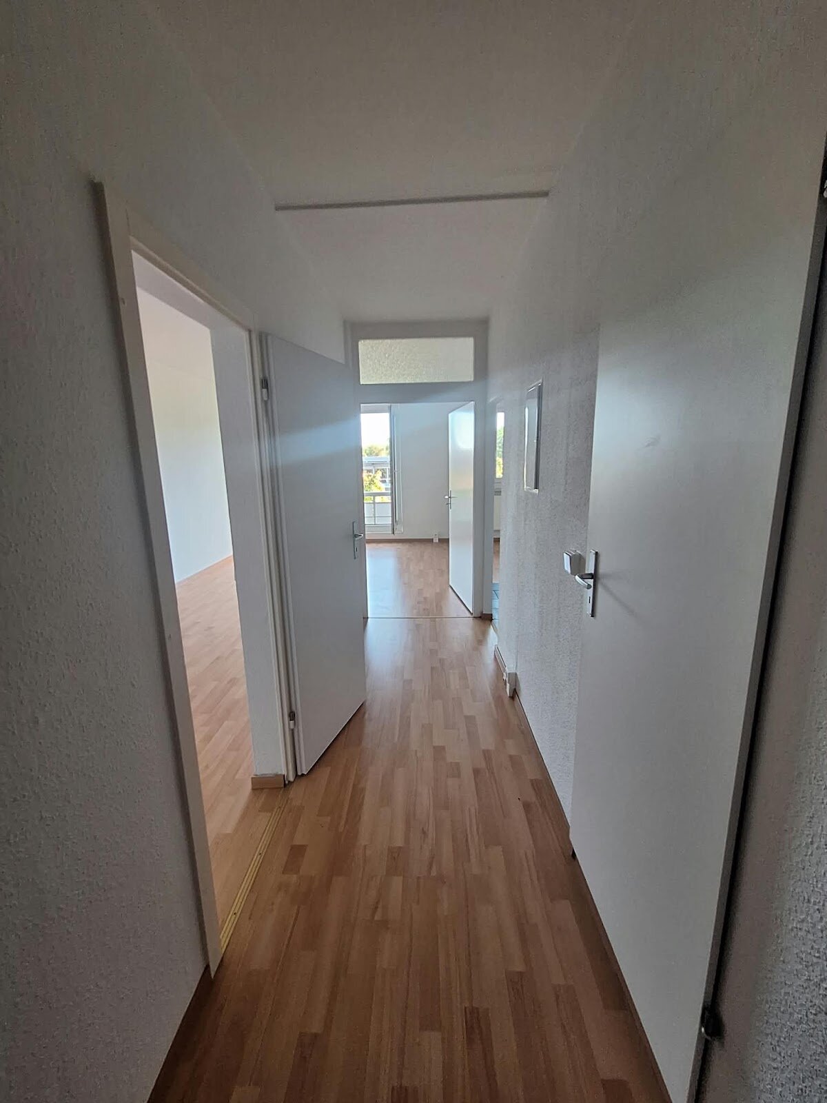 Anne-Frank-Straße 46, 03050 Cottbus