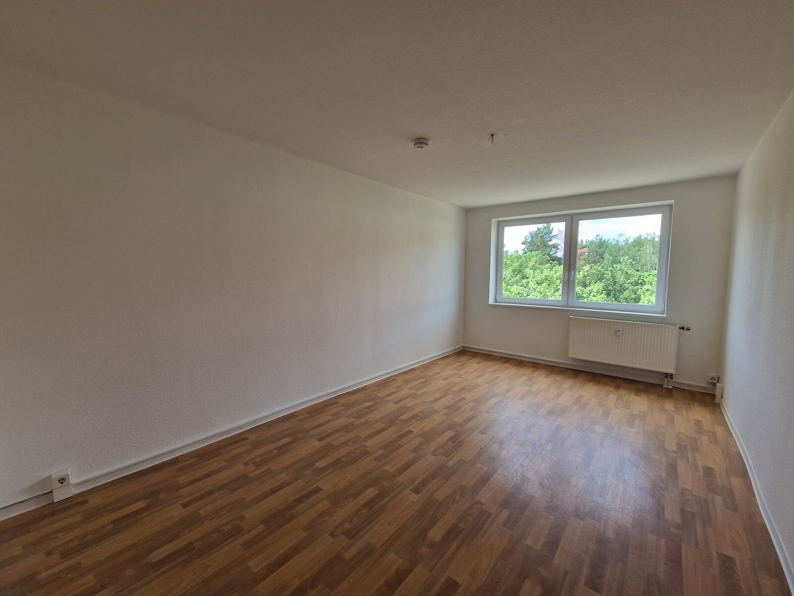 Birkenallee 13b, 06862 Dessau-Roßlau
