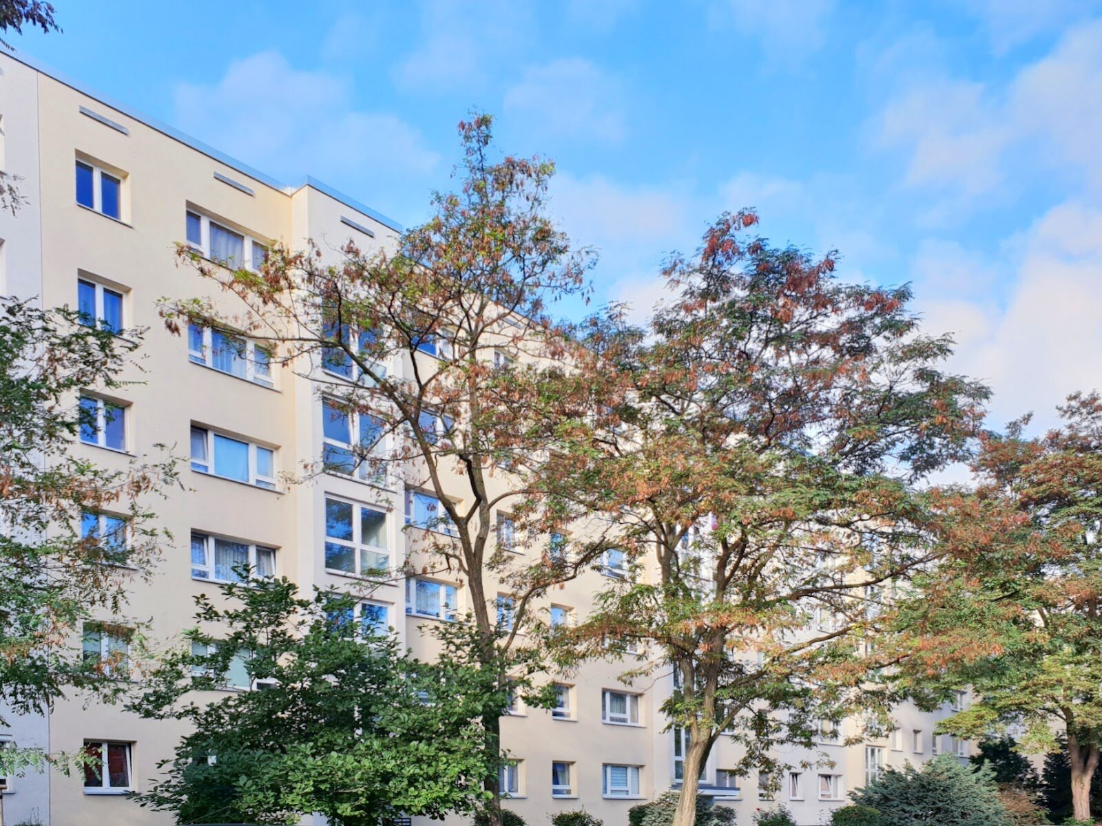 Robinienstraße 18, 01169 Dresden