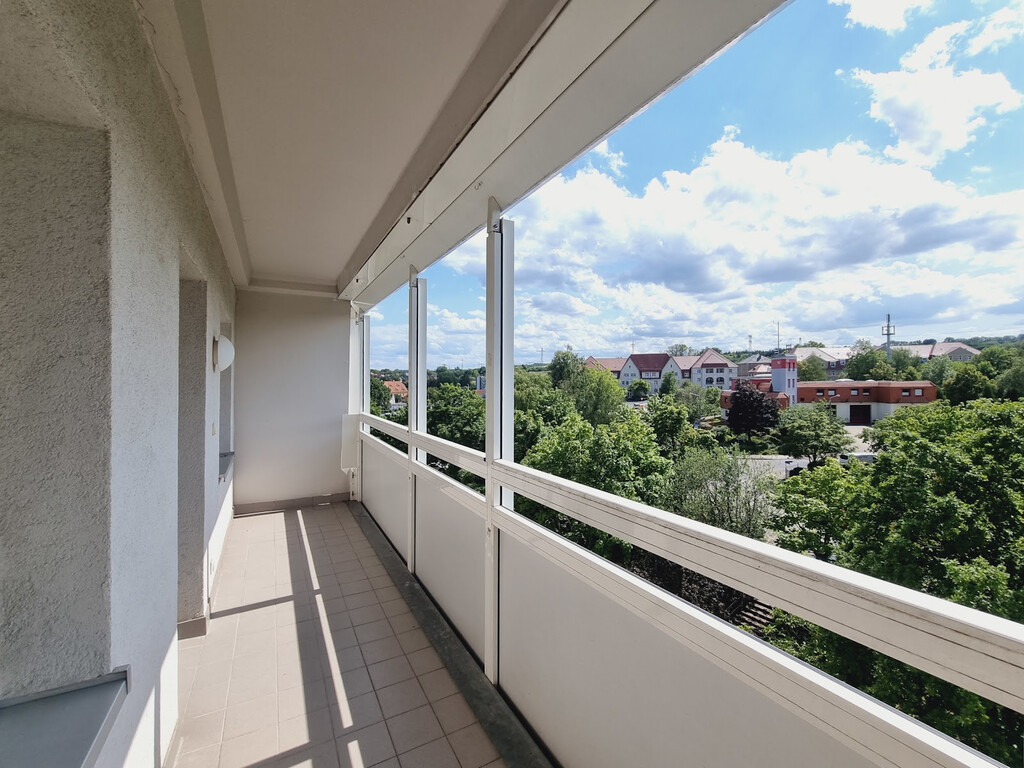 Robinienstraße 24, 01169 Dresden
