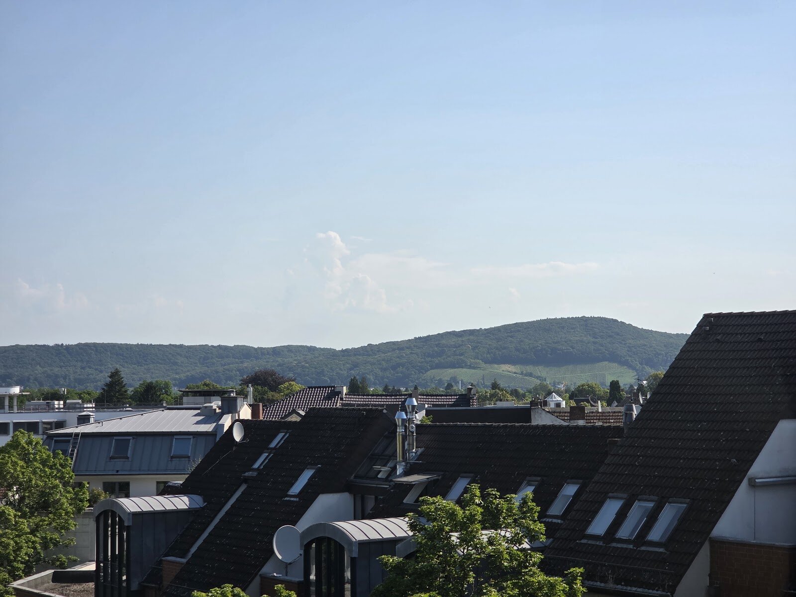 Villichgasse 2, 53177 Bonn